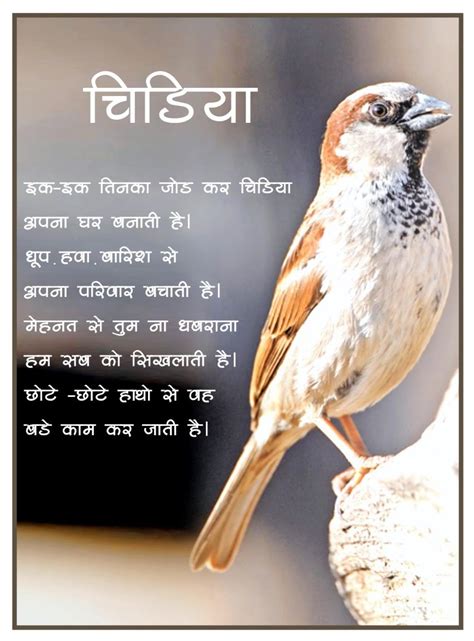 Rangeen Akshar- Hindi Poems: Chidiyya (Sparrow)