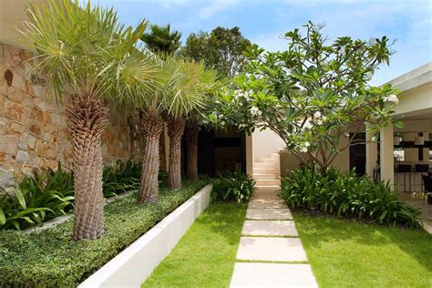 35 Palm Tree Garden Ideas