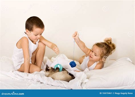 Kids Playing with Their Kitten Stock Image - Image of lazy, feline: 10419461