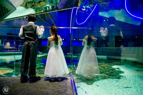 National Aquarium Wedding Venue in Baltimore | PartySpace