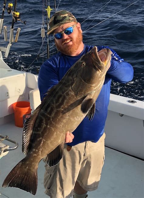 Grouper Fishing - Reel Adventure Charters