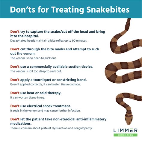 Back To The Basics: Snakebites – Limmer Education, LLC