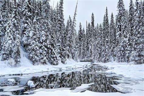 Desktop Wallpapers Canada Louise Yoho Winter Nature Snow Forests