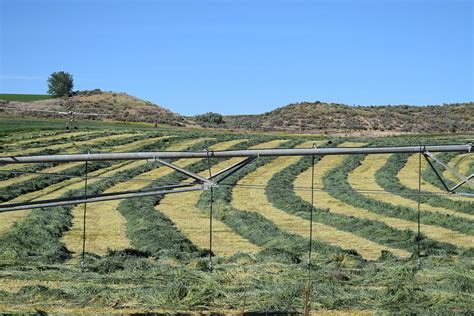 Desert Farming Photograph by Lkb Art And Photography - Fine Art America