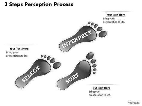 3 Steps Perception Process PowerPoint Template Slide | Presentation PowerPoint Diagrams | PPT ...