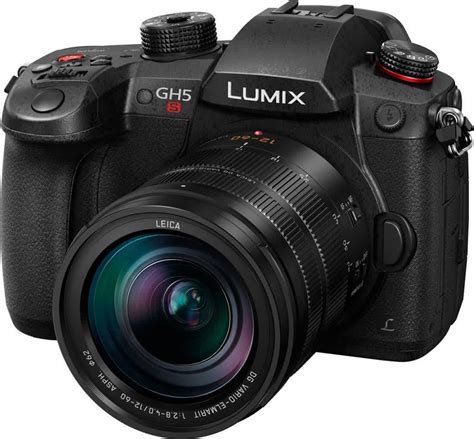 Panasonic Lumix DC-GH5S Reviews - TechSpot