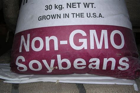 With GMO soybean market booming, is there a future for conventional varieties? - Genetic ...