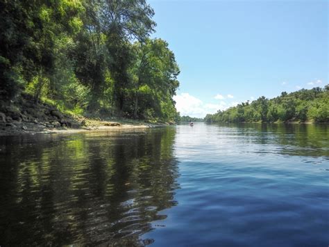 The Suwannee River - Owen Springs | Florida Paddle Notes