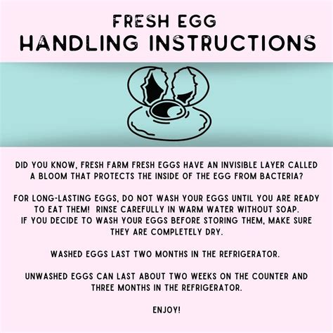 Egg Handling Instructions - Etsy