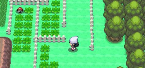 Where To Get the Big Root in Pokémon Platinum - Guide Strats