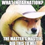 Wot in tarnation Meme Generator - Imgflip