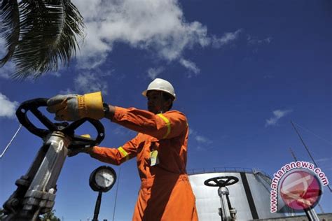 Pertamina to build oil refinery plant in South Kalimantan - ANTARA News