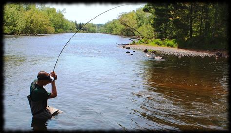 Illinois Wisconsin Fishing: wisconsin river smallmouth bass