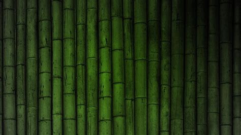 Bamboo Computer Wallpapers - Top Free Bamboo Computer Backgrounds ...