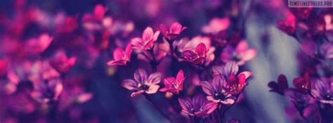 Beautiful Facebook Cover Photos Flowers - bmp-level