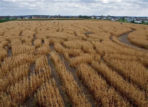 Richardson Adventure Farm Corn Maze in Illinois 2024 - Rove.me