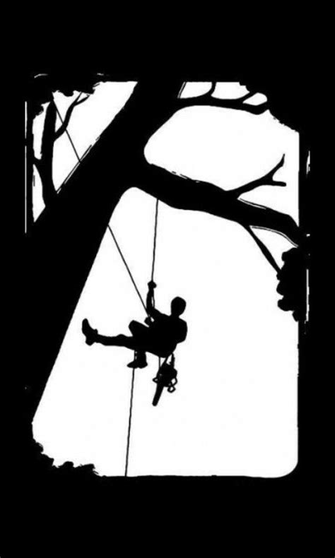 Arborist climbing – Artofit