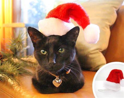 Cat Santa Hat Christmas Pet Santa Hat Holiday Photo Prop X-small Mini Santa Hat for Cats ...