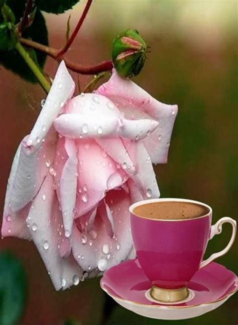 Coffee Art, Coffee Time, Coffee Flower, Beautiful Songs, Decoration, Love Heart, Greetings ...