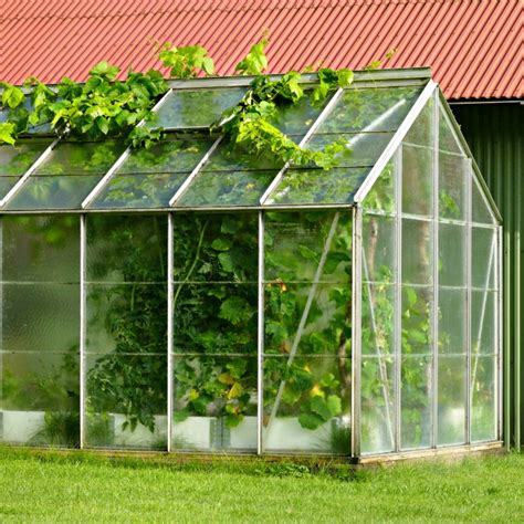 Homemade Greenhouse Ideas - DIY Greenhouse Cold Frame & Terrarium