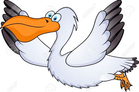 pelican clip art 10 free Cliparts | Download images on Clipground 2024