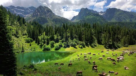 Lake In Italian Alps Wallpapers - Wallpaper Cave