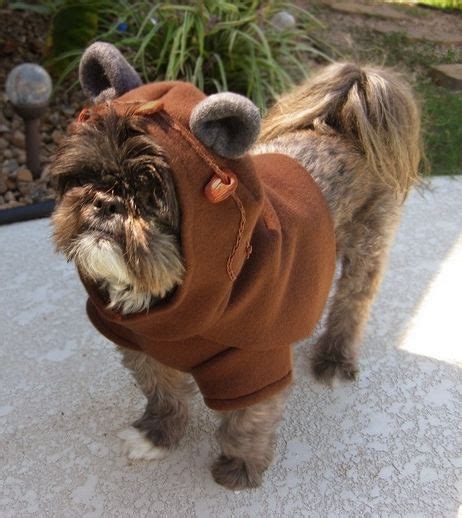 Ebay, Etsy = Ewok Dog Costume | Ewok dog costume, Pet costumes, Dog halloween costumes