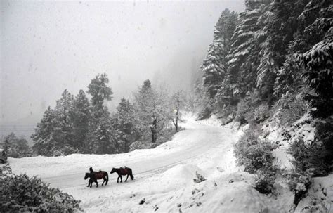 Snowfall at Manali, Kufri, Narkanda, Shimla - Hill Post