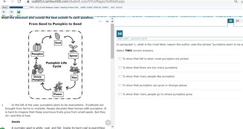 As Texas STAAR test goes fully online, teachers ‘feel defeated,’ Texas ...