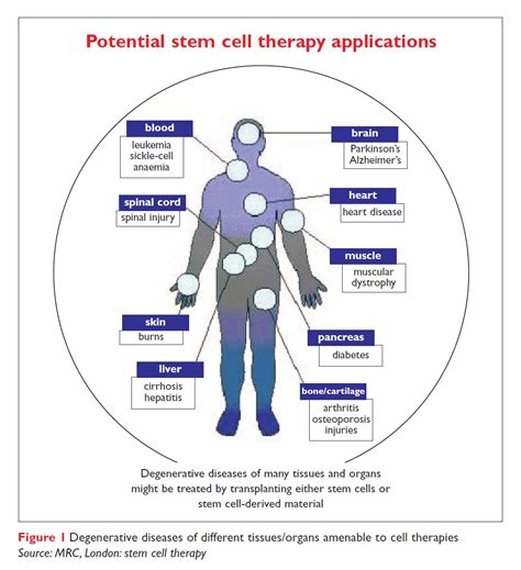 Stem Cell PHARMACEUTICS - Drug Discovery World (DDW)