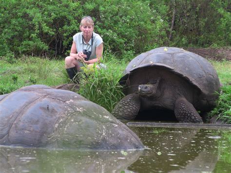 CBC.ca | The Homestretch | Brian Keating -- New Galapagos tortoise species discovered