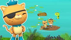 Octonauts Games - CBeebies - BBC