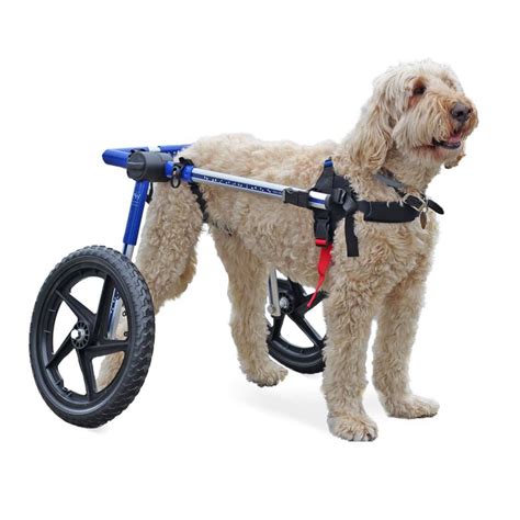 Walkin' Wheels Dog Wheelchair (Med/Large) - Oliver Pet Care