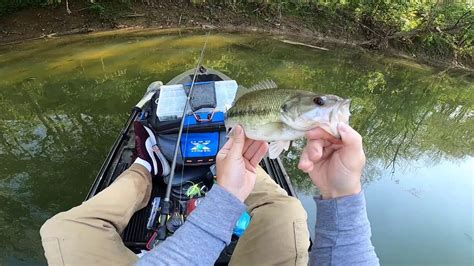 Creek Fishing Adventure!! Multiple species! - YouTube