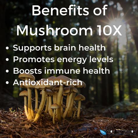 Why Private Label Medicinal Mushroom Supplements | Vox Nutrition