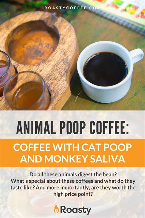 Poop Coffee – The Lowdown on This Unusual Phenomenon!