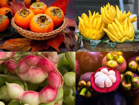 6 Rare Fruits in India You Must Know About!