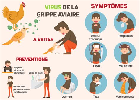 Grippe aviaire H3N8 : Mode de transmission et précautions - Information hospitalière : Lexique ...