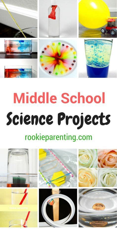 Middle School | Middle school science experiments, School science projects, Middle school ...