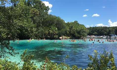 Salt Springs 2021: Best of Salt Springs, FL Tourism - Tripadvisor