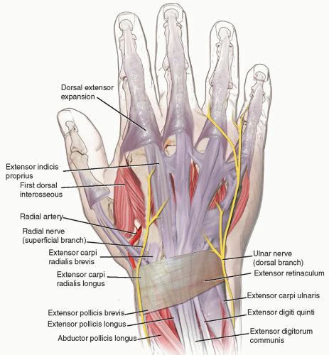 How to reduce pain while carrying a server tray. — Aaron McCullagh