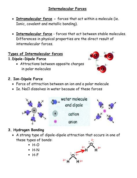 Intermolecular Forces and Solubility