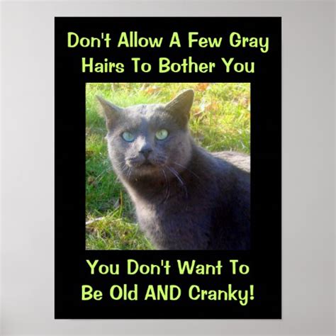 Cranky Cat Humor Poster | Zazzle