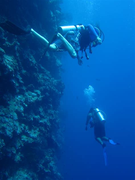 bryan and jason, diving a wall | Scuba diving Big Drop Off, … | Flickr