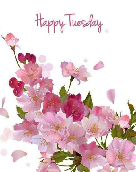 💝Happy Tuesday💝..🍉💕 | ดอกไม้สีม่วง, ดอกไม้, อรุณสวัสดิ์