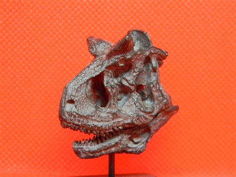 Fossil Specimen: Reptiles | Jurassic James