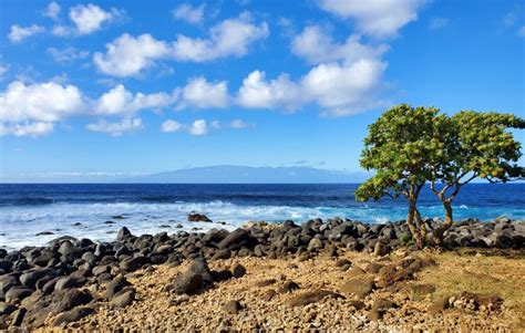 Beaches in Kohala & North Island - Hawaii Beaches