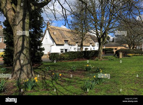 Werrington village green hi-res stock photography and images - Alamy