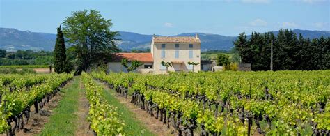 Visit Champagne Wine Region | France Tour Packages