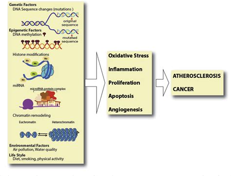 Neoplastic Processes | Semantic Scholar